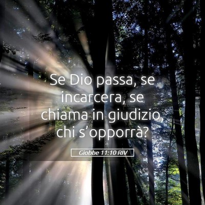 Picture 05 - Giobbe 11:10 RIV - Se Dio passa, se incarcera, se chiama in - Bible Verse Picture