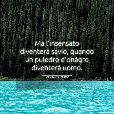 Picture 05 - Giobbe 11:12 RIV - Ma l’insensato diventerà savio, quando un - Bible Verse Picture