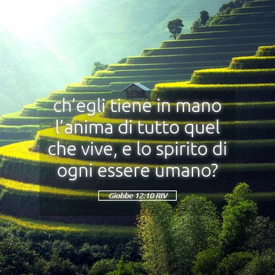 Picture 05 - Giobbe 12:10 RIV - ch’egli tiene in mano l’anima di tutto quel - Bible Verse Picture