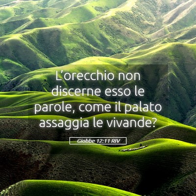 Picture 05 - Giobbe 12:11 RIV - L’orecchio non discerne esso le parole, come il - Bible Verse Picture