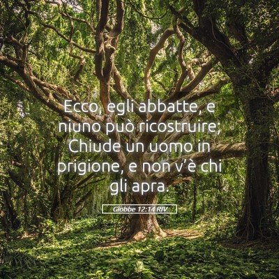 Picture 05 - Giobbe 12:14 RIV - Ecco, egli abbatte, e niuno può ricostruire; - Bible Verse Picture