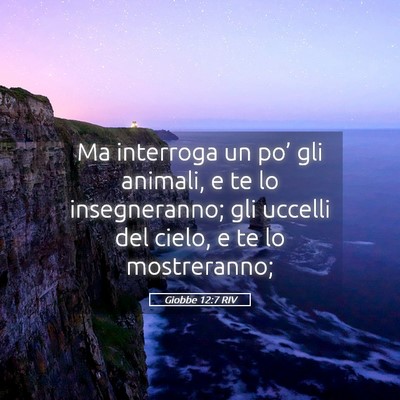 Picture 05 - Giobbe 12:7 RIV - Ma interroga un po’ gli animali, e te lo - Bible Verse Picture