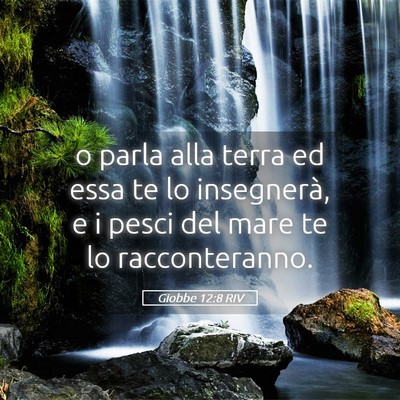 Picture 05 - Giobbe 12:8 RIV - o parla alla terra ed essa te lo insegnerà, e i - Bible Verse Picture