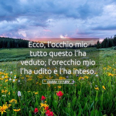 Picture 05 - Giobbe 13:1 RIV - Ecco, l’occhio mio tutto questo l’ha veduto; - Bible Verse Picture