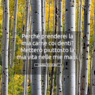 Picture 05 - Giobbe 13:14 RIV - Perché prenderei la mia carne coi denti? - Bible Verse Picture