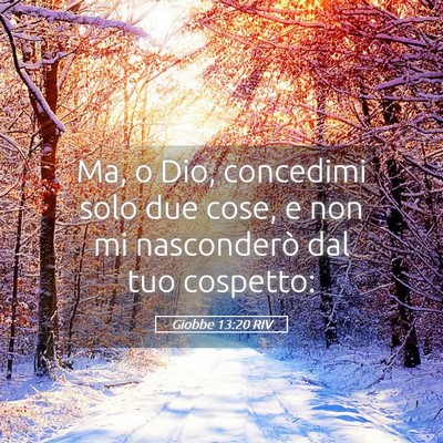 Picture 05 - Giobbe 13:20 RIV - Ma, o Dio, concedimi solo due cose, e non mi - Bible Verse Picture