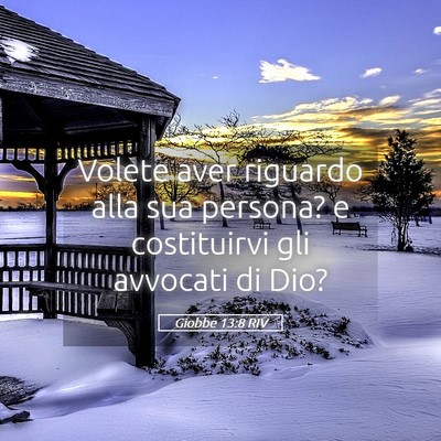 Picture 05 - Giobbe 13:8 RIV - Volete aver riguardo alla sua persona? e - Bible Verse Picture