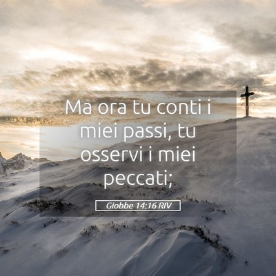 Picture 05 - Giobbe 14:16 RIV - Ma ora tu conti i miei passi, tu osservi i miei - Bible Verse Picture