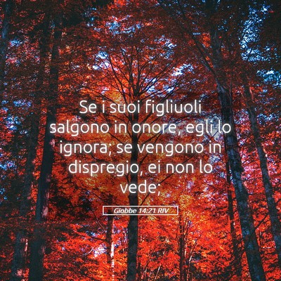 Picture 05 - Giobbe 14:21 RIV - Se i suoi figliuoli salgono in onore, egli lo - Bible Verse Picture