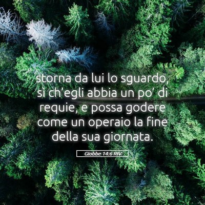 Picture 05 - Giobbe 14:6 RIV - storna da lui lo sguardo, sì ch’egli abbia un - Bible Verse Picture