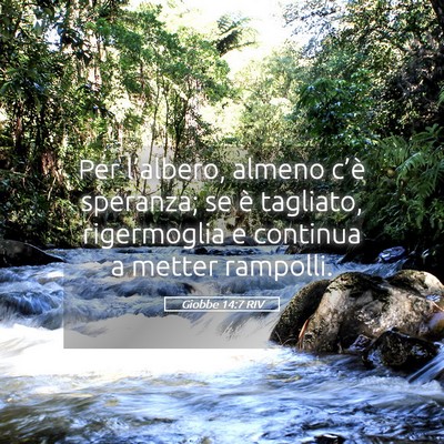 Picture 05 - Giobbe 14:7 RIV - Per l’albero, almeno c’è speranza; se è - Bible Verse Picture