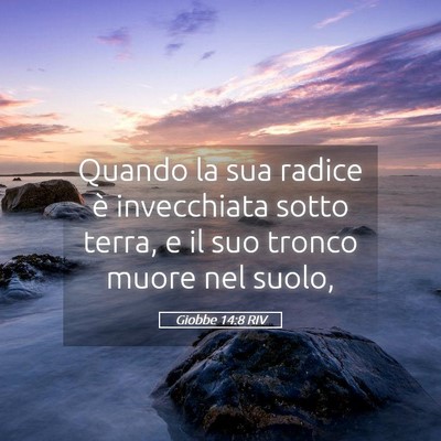Picture 05 - Giobbe 14:8 RIV - Quando la sua radice è invecchiata sotto terra, - Bible Verse Picture