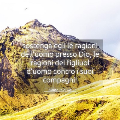 Picture 05 - Giobbe 16:21 RIV - sostenga egli le ragioni dell’uomo presso Dio, - Bible Verse Picture