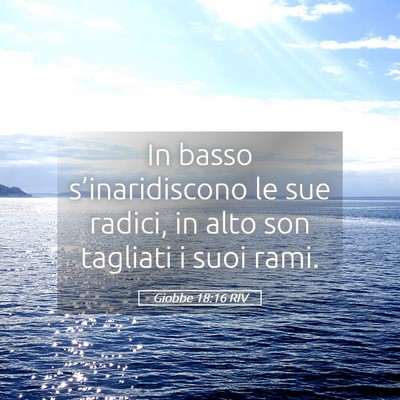 Picture 05 - Giobbe 18:16 RIV - In basso s’inaridiscono le sue radici, in alto - Bible Verse Picture