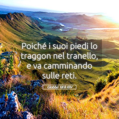 Picture 05 - Giobbe 18:8 RIV - Poiché i suoi piedi lo traggon nel tranello, e - Bible Verse Picture