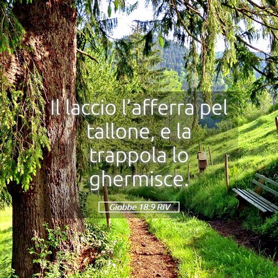 Picture 05 - Giobbe 18:9 RIV - Il laccio l’afferra pel tallone, e la trappola - Bible Verse Picture