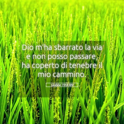 Picture 05 - Giobbe 19:8 RIV - Dio m’ha sbarrato la via e non posso passare, - Bible Verse Picture