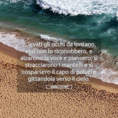 Picture 05 - Giobbe 2:12 RIV - E, levati gli occhi da lontano, essi non lo - Bible Verse Picture