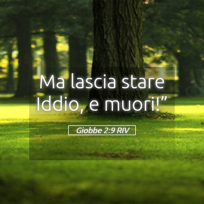 Picture 05 - Giobbe 2:9 RIV - Ma lascia stare Iddio, e - Bible Verse Picture