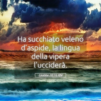 Picture 05 - Giobbe 20:16 RIV - Ha succhiato veleno d’aspide, la lingua della - Bible Verse Picture