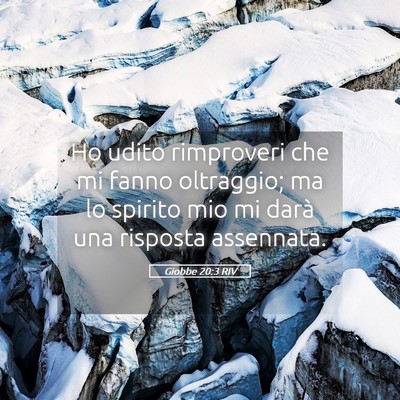 Picture 05 - Giobbe 20:3 RIV - Ho udito rimproveri che mi fanno oltraggio; ma lo - Bible Verse Picture