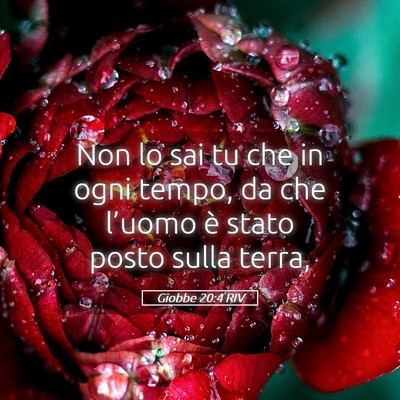 Picture 05 - Giobbe 20:4 RIV - Non lo sai tu che in ogni tempo, da che l’uomo - Bible Verse Picture