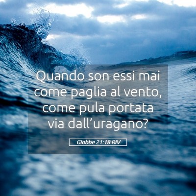 Picture 05 - Giobbe 21:18 RIV - Quando son essi mai come paglia al vento, come - Bible Verse Picture