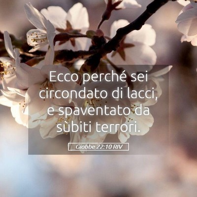 Picture 05 - Giobbe 22:10 RIV - Ecco perché sei circondato di lacci, e - Bible Verse Picture