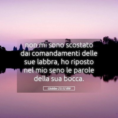 Picture 05 - Giobbe 23:12 RIV - non mi sono scostato dai comandamenti delle sue - Bible Verse Picture