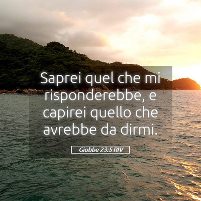 Picture 05 - Giobbe 23:5 RIV - Saprei quel che mi risponderebbe, e capirei - Bible Verse Picture