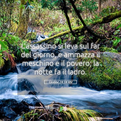 Picture 05 - Giobbe 24:14 RIV - L’assassino si leva sul far del giorno, e - Bible Verse Picture