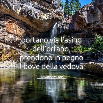 Picture 05 - Giobbe 24:3 RIV - portano via l’asino dell’orfano, prendono in - Bible Verse Picture