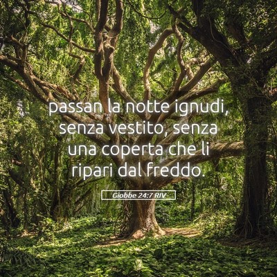 Picture 05 - Giobbe 24:7 RIV - passan la notte ignudi, senza vestito, senza una - Bible Verse Picture