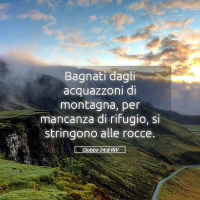 Picture 05 - Giobbe 24:8 RIV - Bagnati dagli acquazzoni di montagna, per - Bible Verse Picture