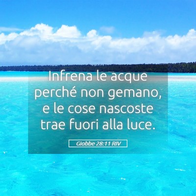 Picture 05 - Giobbe 28:11 RIV - Infrena le acque perché non gemano, e le cose - Bible Verse Picture