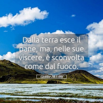 Picture 05 - Giobbe 28:5 RIV - Dalla terra esce il pane, ma, nelle sue viscere, - Bible Verse Picture