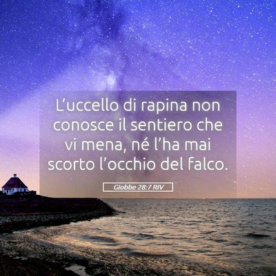 Picture 05 - Giobbe 28:7 RIV - L’uccello di rapina non conosce il sentiero che - Bible Verse Picture