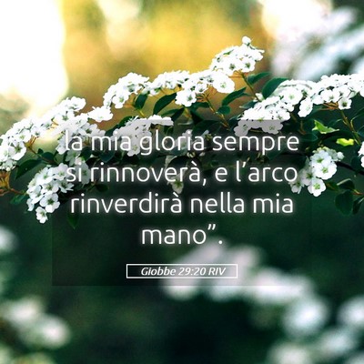 Picture 05 - Giobbe 29:20 RIV - la mia gloria sempre si rinnoverà, e l’arco - Bible Verse Picture
