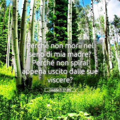Picture 05 - Giobbe 3:11 RIV - Perché non morii nel seno di mia madre? Perché - Bible Verse Picture