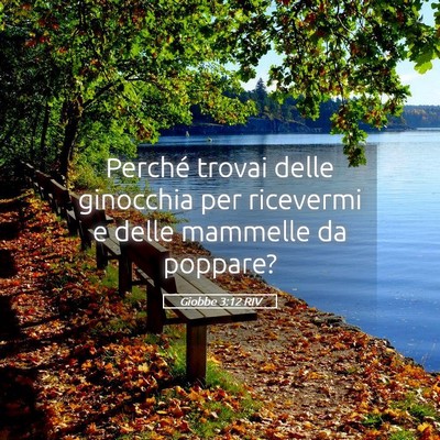 Picture 05 - Giobbe 3:12 RIV - Perché trovai delle ginocchia per ricevermi e - Bible Verse Picture