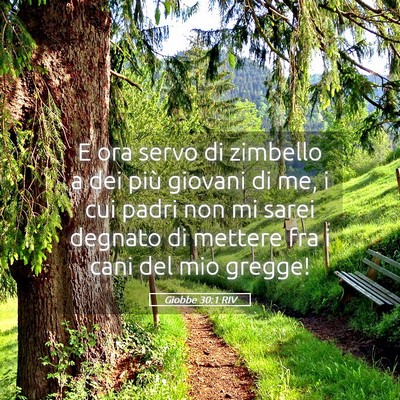 Picture 05 - Giobbe 30:1 RIV - E ora servo di zimbello a dei più giovani di me, - Bible Verse Picture