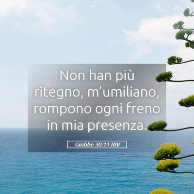 Picture 05 - Giobbe 30:11 RIV - Non han più ritegno, m’umiliano, rompono ogni - Bible Verse Picture
