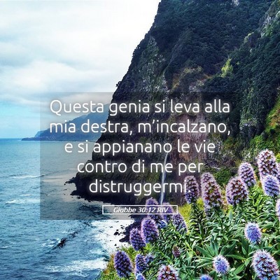 Picture 05 - Giobbe 30:12 RIV - Questa genia si leva alla mia destra, - Bible Verse Picture