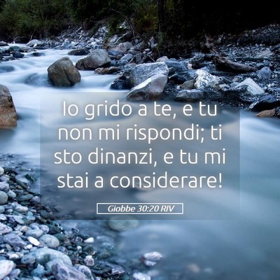 Picture 05 - Giobbe 30:20 RIV - Io grido a te, e tu non mi rispondi; ti sto - Bible Verse Picture