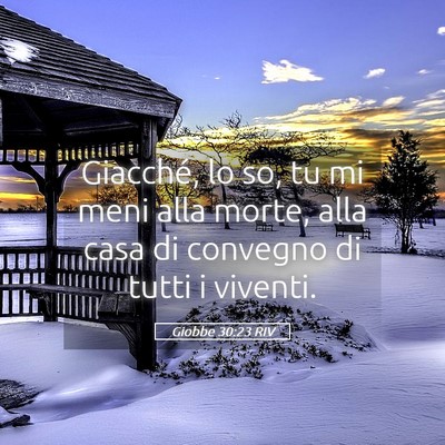 Picture 05 - Giobbe 30:23 RIV - Giacché, lo so, tu mi meni alla morte, alla casa - Bible Verse Picture