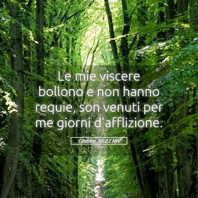Picture 05 - Giobbe 30:27 RIV - Le mie viscere bollono e non hanno requie, son - Bible Verse Picture