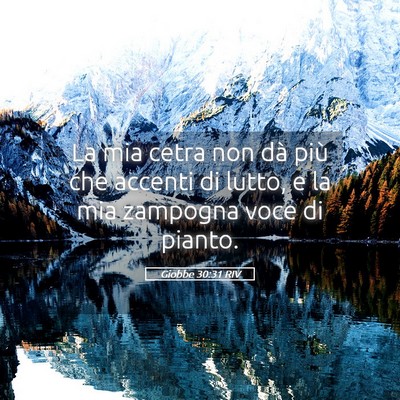 Picture 05 - Giobbe 30:31 RIV - La mia cetra non dà più che accenti di lutto, e - Bible Verse Picture