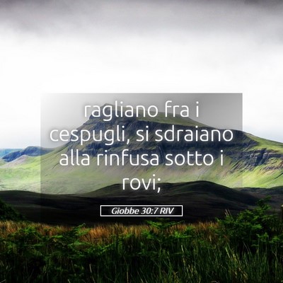 Picture 05 - Giobbe 30:7 RIV - ragliano fra i cespugli, si sdraiano alla rinfusa - Bible Verse Picture