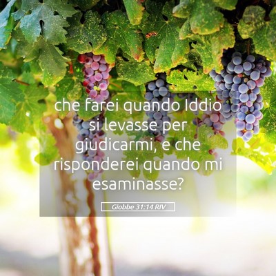 Picture 05 - Giobbe 31:14 RIV - che farei quando Iddio si levasse per giudicarmi, - Bible Verse Picture