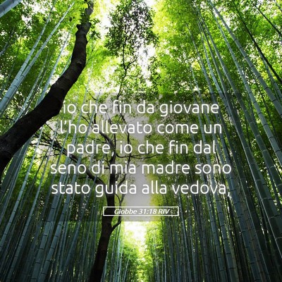 Picture 05 - Giobbe 31:18 RIV - io che fin da giovane l’ho allevato come un - Bible Verse Picture